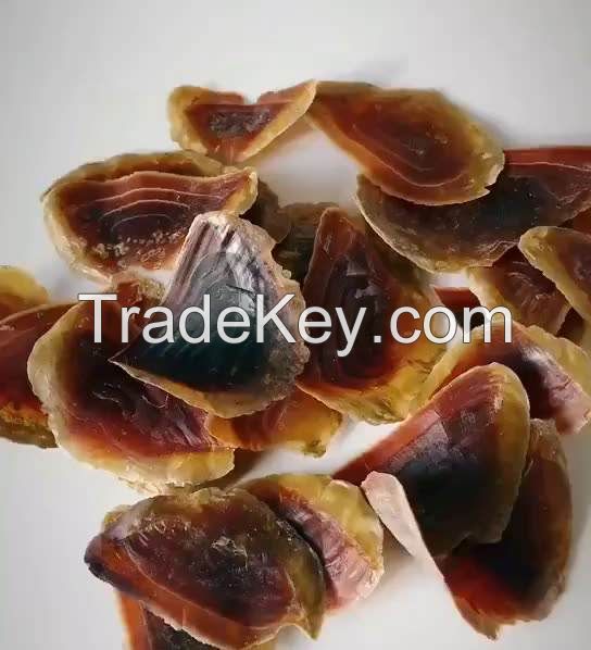 yellow frozen conch meat geoduck frozen escargots food grade 50kg bags 25tons 15days frozen conch meat whelk conch meat