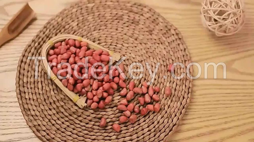 coated roasted peanuts no additives dried 100% natural peanut with best bulk suppliers shell raw peanuts prices