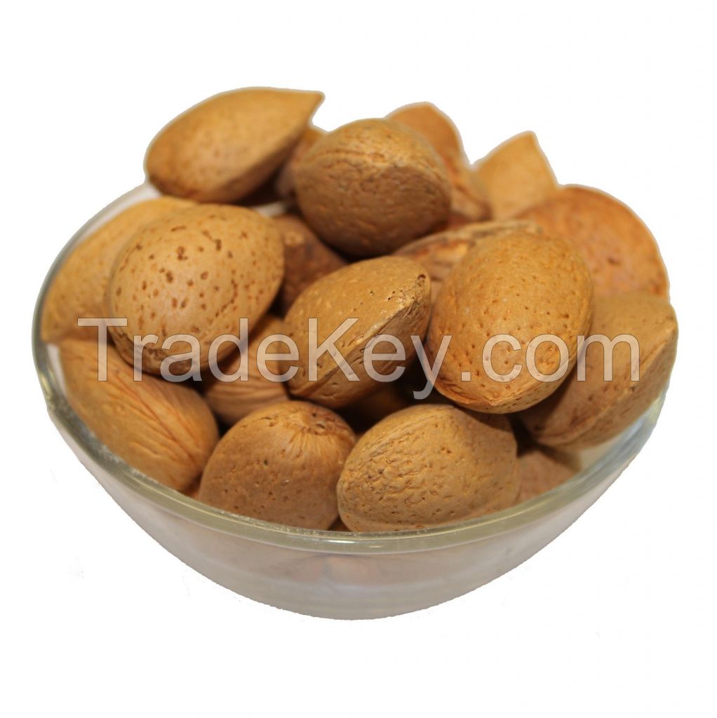 Best Price Raw Almonds In-shell Nuts