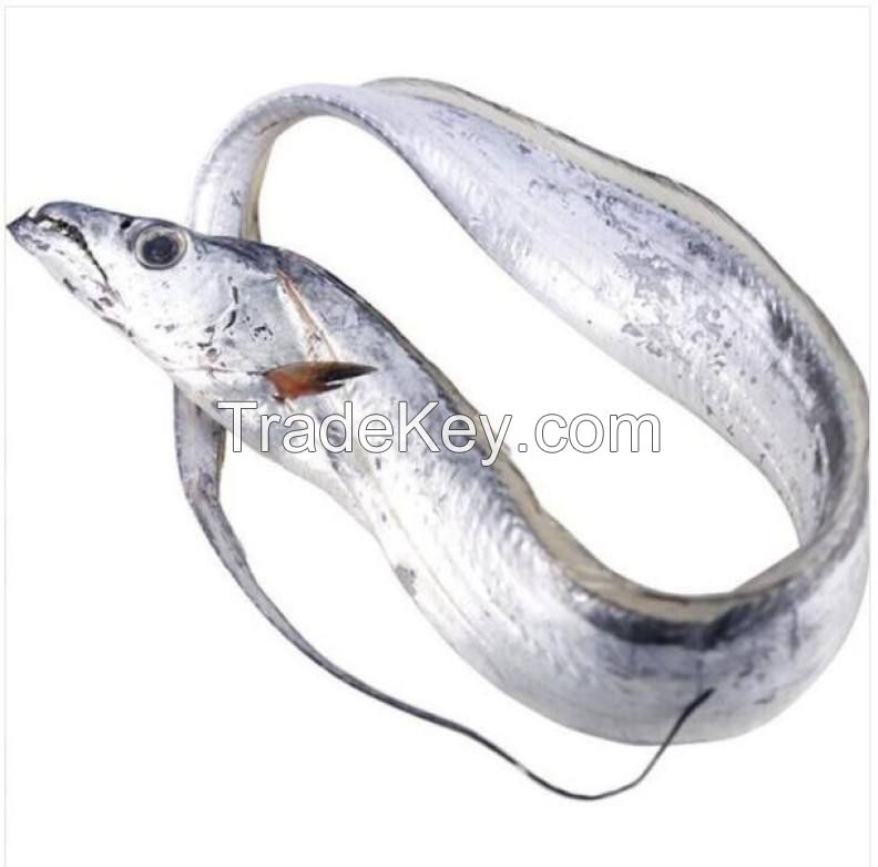 frozen fish fresh tilapia supplier block bulk style packaging package  ribbon fish  hairtail belt  frozen fish fresh ribbon