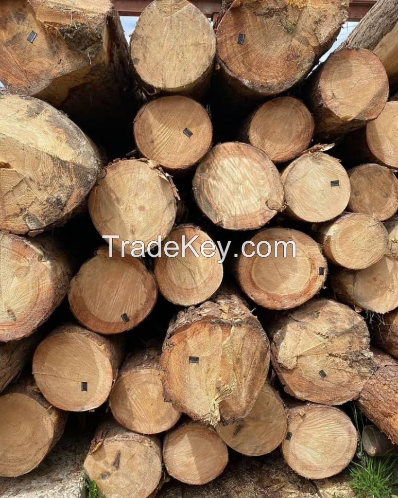 Hot Sale Price Of kd Square Edges White Oak Timber For Sale