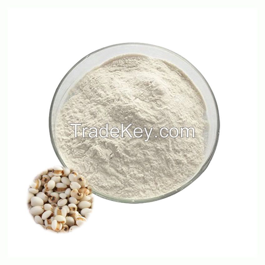 Supply Bulk 99% Semen Coicis Extract Natural 10:1 Coix Seed Extract Powder