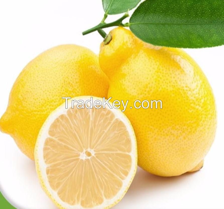 wholesale bulk eureka yellow fresh lemon  for sale south africa fresh lemon yellow lemon farm