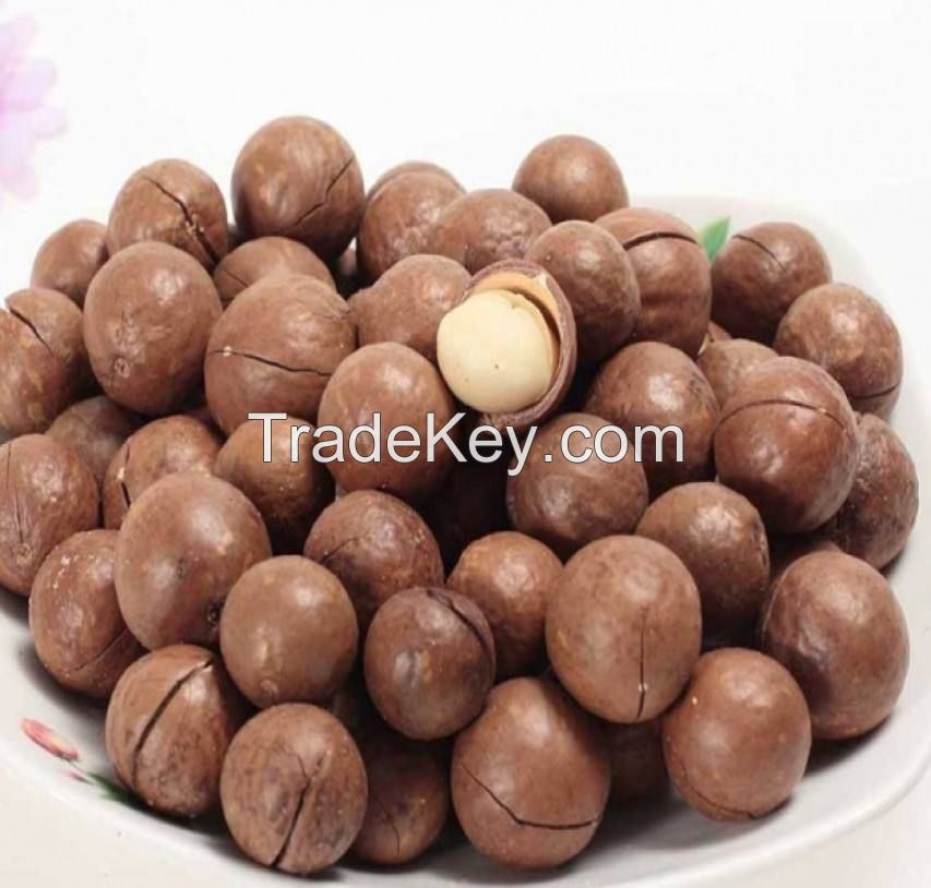 macadamia nuts South Africa Top quality best-selling organic macadamia nuts price raw organic  macadamia nut shell