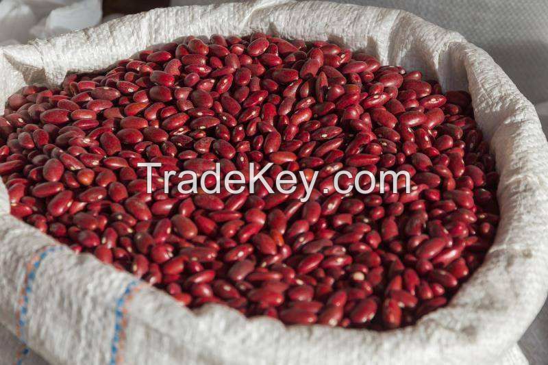 red kidney beans pinto beans sugar beans.