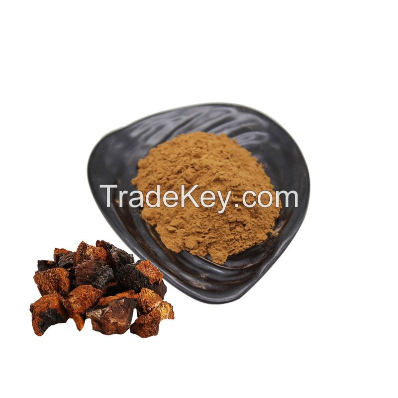 High Quality Chaga Extract Herbal Supplement 10:1 Chaga Mushroom Extract Powder