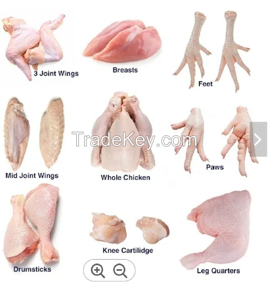 chicken halal frozen fresh whole chicken boneless feet professional 15kg per carton 25tons 15days frozen chicken whole