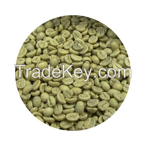 High Quality Competitive Price Products Arabica Green Coffee Bean WIth 12 Months Shelf Life