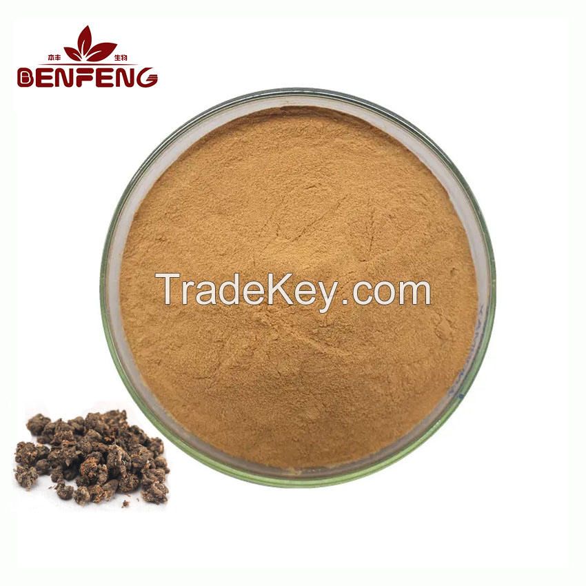 ISO Factory Price Uncaria Tomentosa Powder Pure Natural Cat's Claw Extract Powder