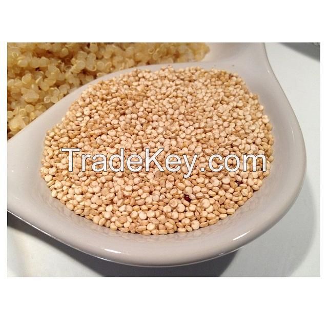 High Quality Organic Seeds White Quinoa Grains Health care Grains Available For Sale At Low Price