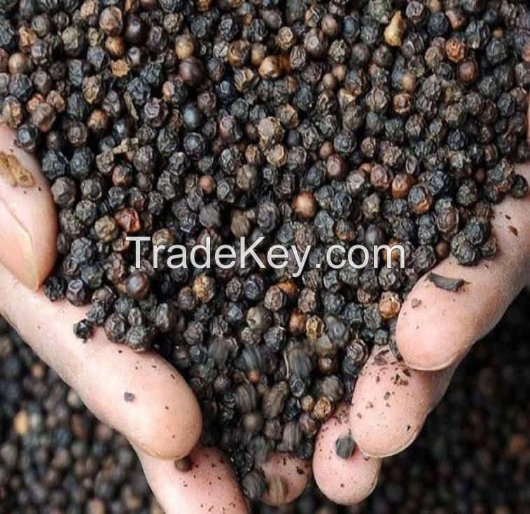 bulk organic black and white pepper for cheap export price sales sarawak black pepper black pepper seeds for sale organic bulk