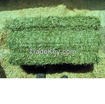 export quality alfafa hay bales pellet cubes for sale Our suggestionscattle feed additives animal feed additive gain weight