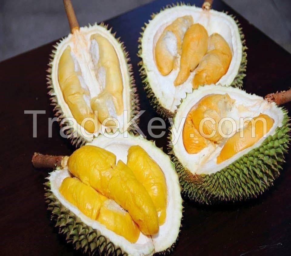high quality fresh durian fruit with good price fresh durian fruit 10kg Carton Box/Polyfoam Box freeze dried durian