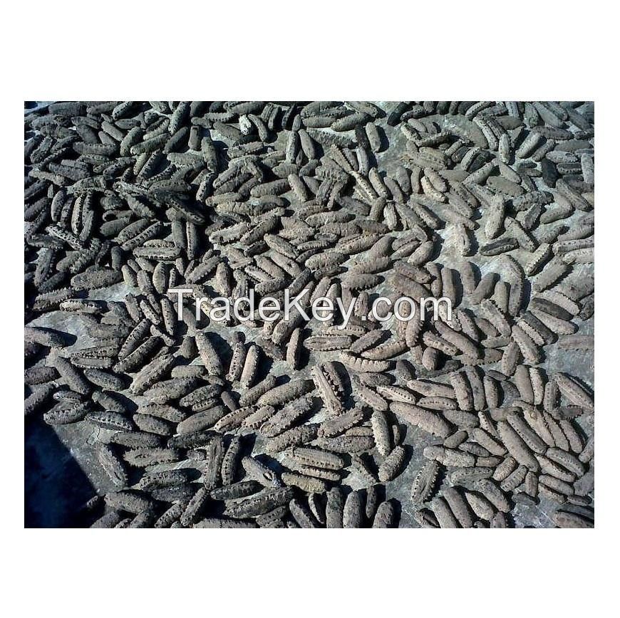 Top Quality Dried Sea Cucumber (Seafood) For Sale At Best Price