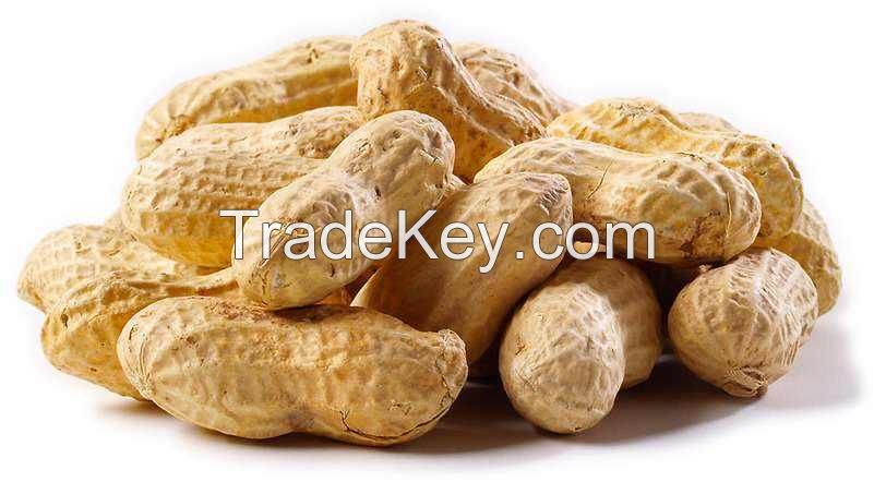 coated roasted peanuts no additives dried 100% natural peanut with best bulk suppliers shell raw peanuts prices