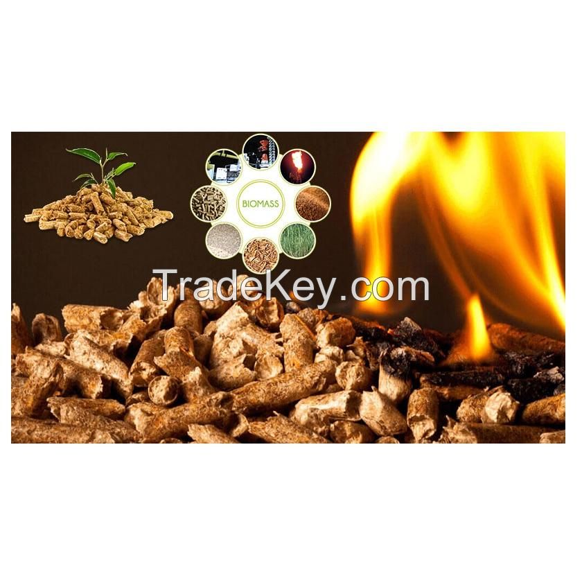 Top Quality Food Grade Guar Gum For Sale At Best Price