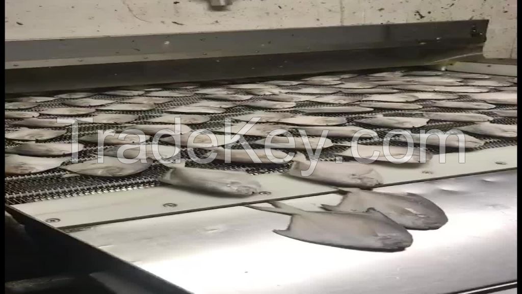 pomfret fish tamil south africa bulk cheap fr food pomfret fish frozen frozen fish fresh tilapia supplier block bulk style