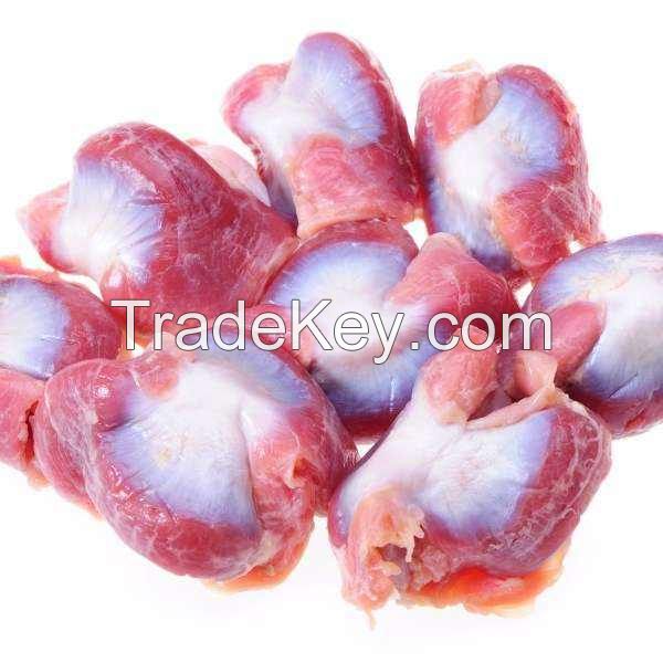 Premium Quality Halal Frozen Chicken Gizzards - Frozen Chicken Meat Bulk Stock At Wholesale Cheap Price