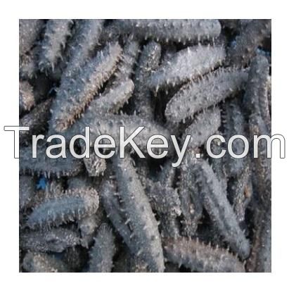 Top Quality Dried Sea Cucumber (Seafood) For Sale At Best Price