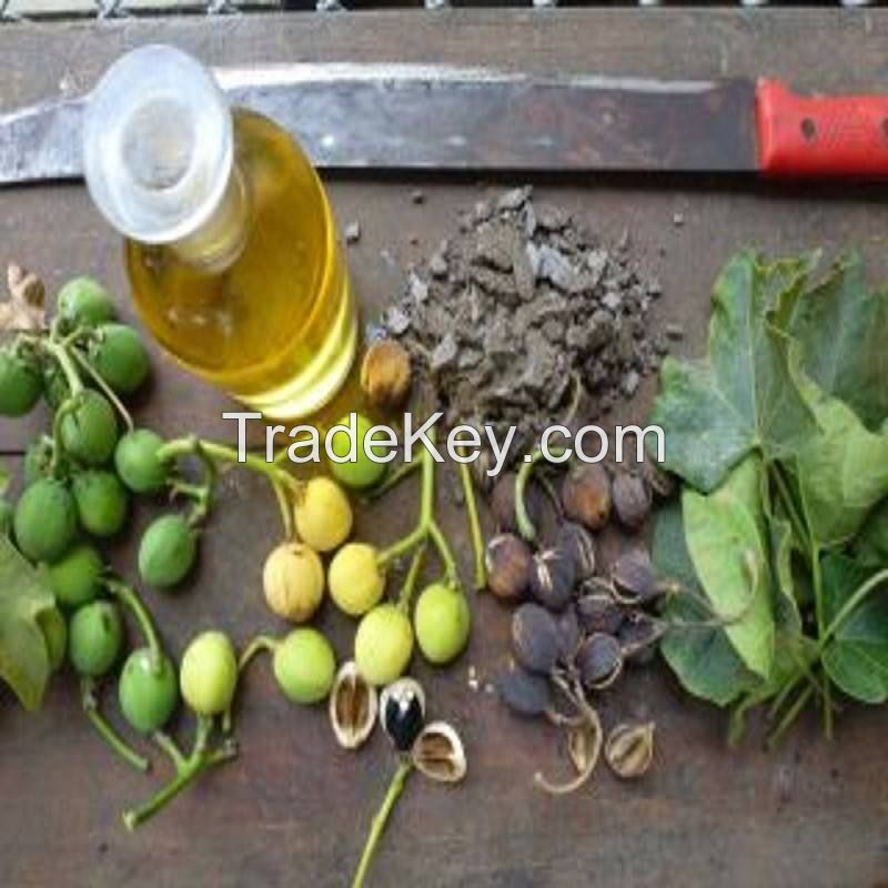 selling high quality american sale refinery crude oil buyers canada USA light heavy jatropha oil biodiesel