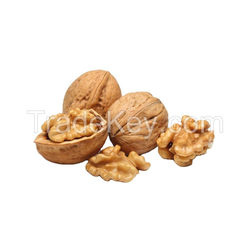 south africa top quality whole dry fruit walnut with Shell and shelled for sale 21crop raw walnut kernels extra light walnut