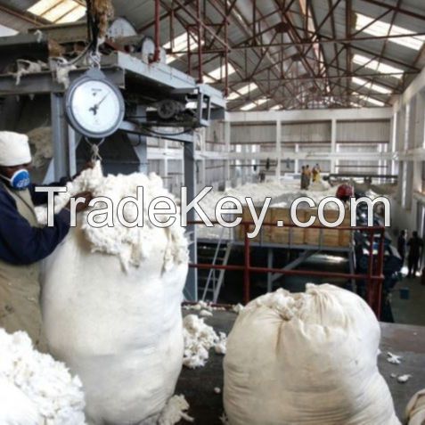 Raw cotton / Cotton Yarn / Cotton Fiber Worldwide