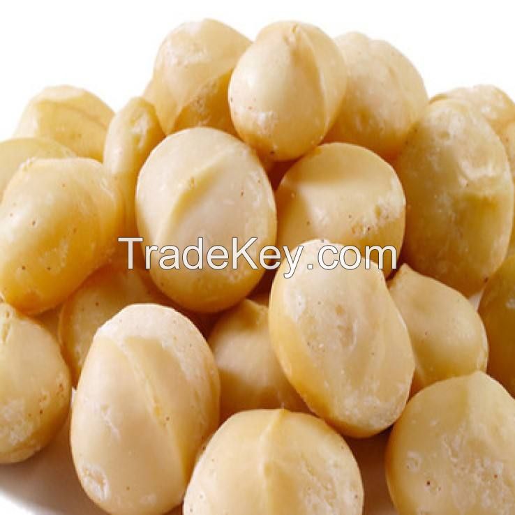 Dried organic macadamia nuts South Africa delicious Top quality Rich nutrition  bulk suppliers macadamia roasted