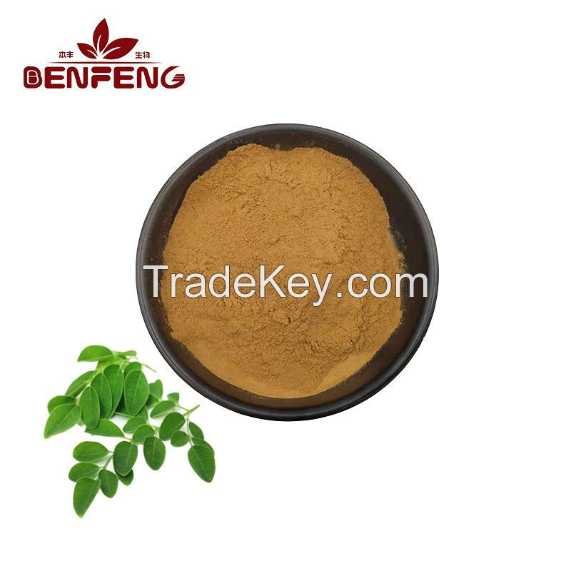 High Quality Moringa Leaf Extract Food Grade Natural 10:1 Moringa Extract Powder