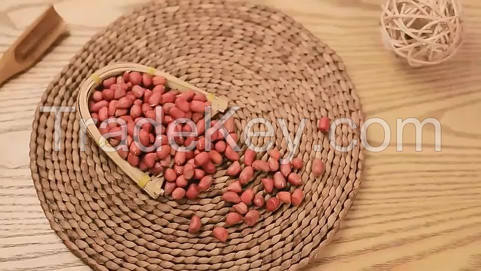 Wholesale custom private raw groundnut dry roasted peanut kernels 25kg Kraft Paper Bag 24/28 25/29 40/50 shell blanched peanut