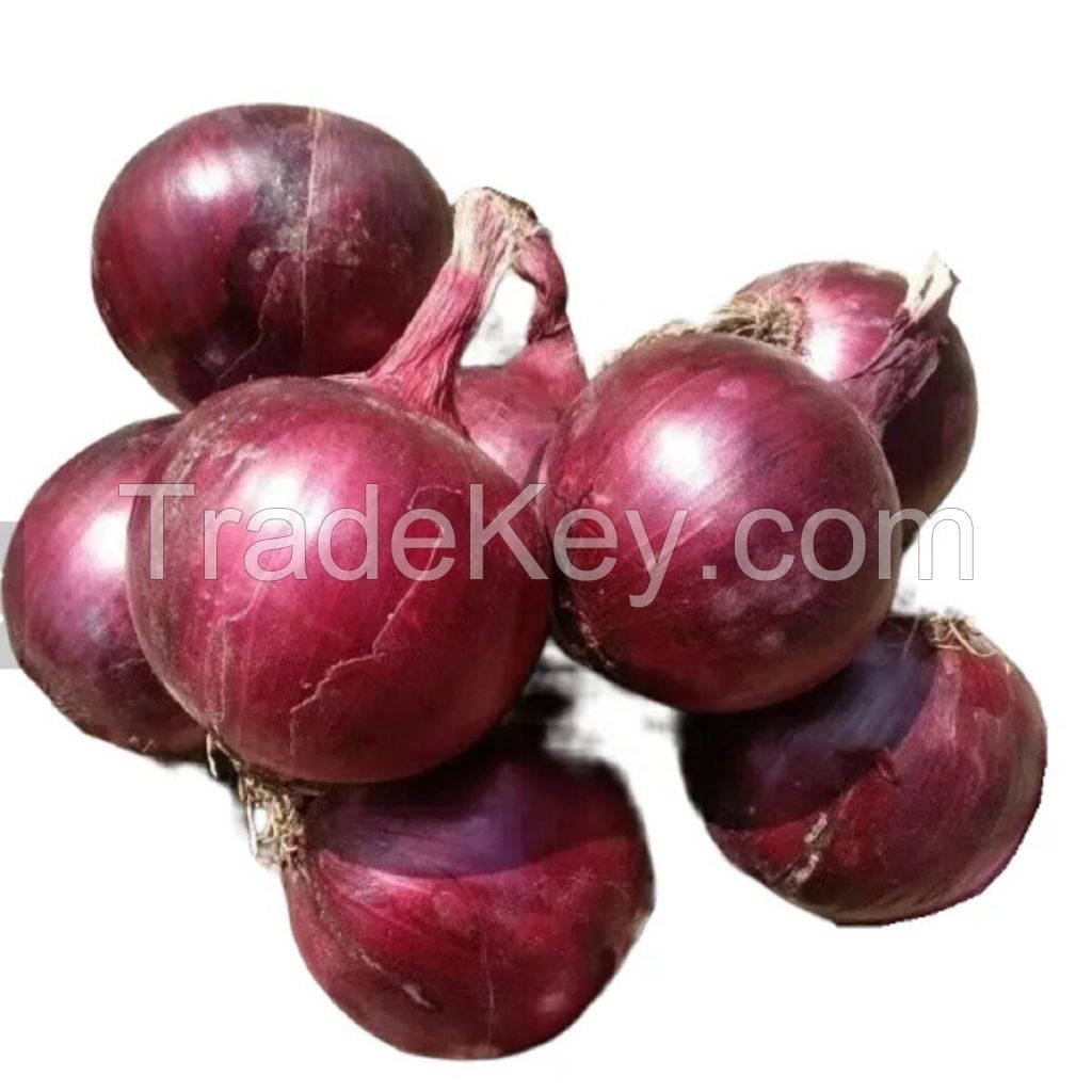 Premium Indian Red, Yellow, and White Onions for Export | Fresh Spring Onions for Sale
