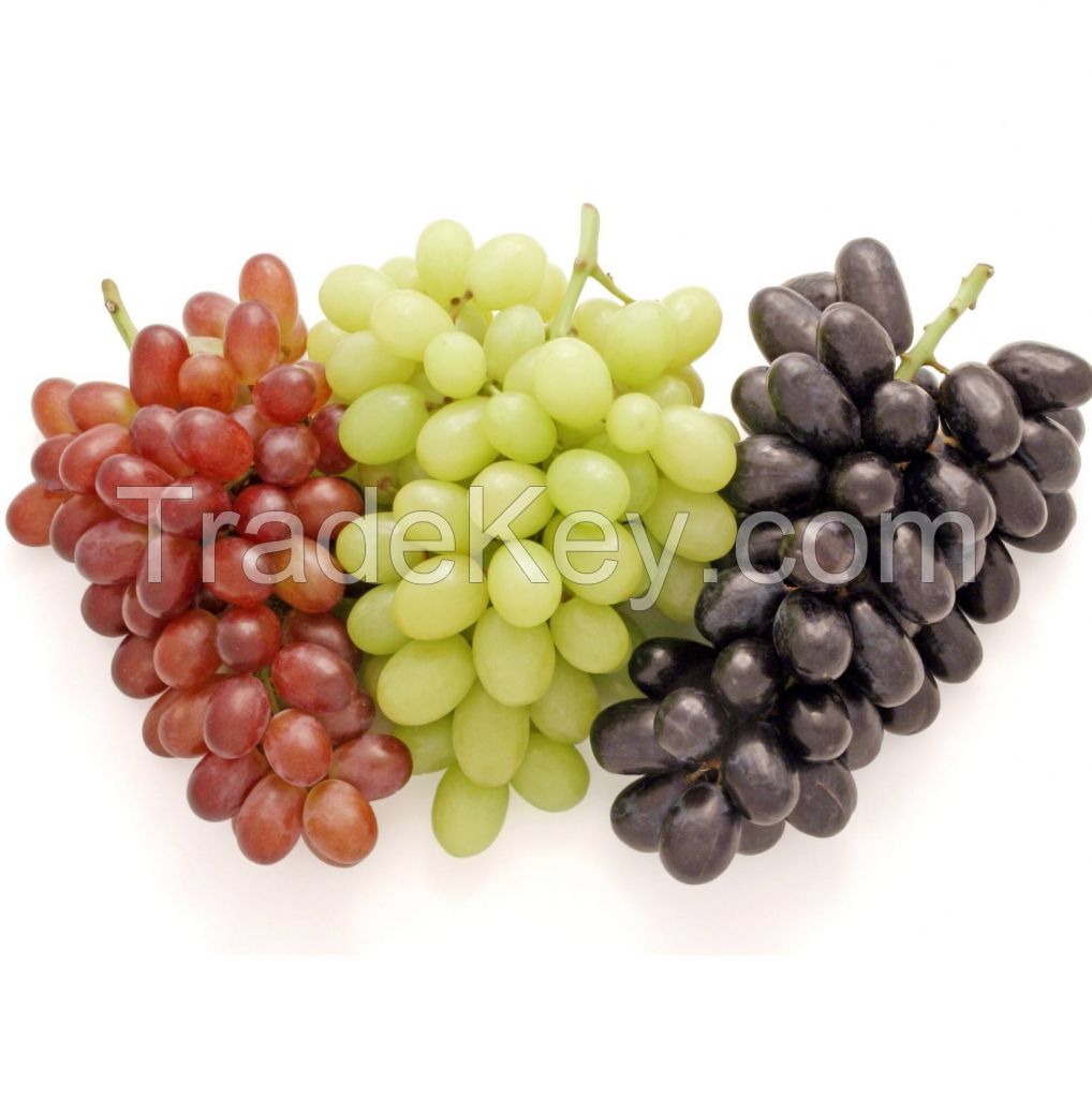 fresh grapes red grape  wholesale price for varieties Seedless globe red grape fruits for sale