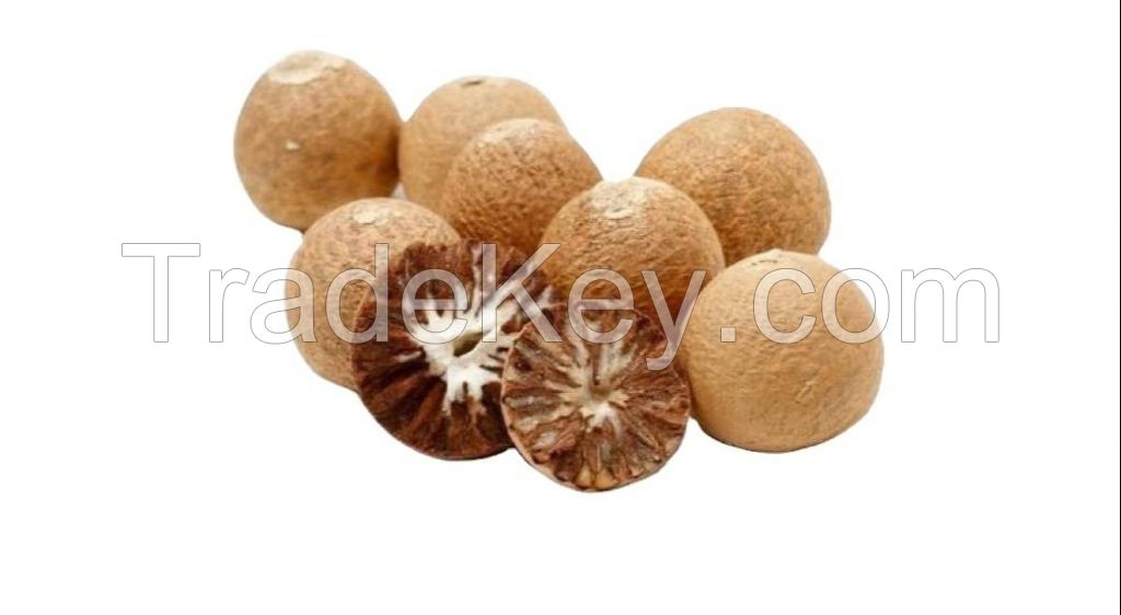 Rich nutrition Top quality organic High quality areca catechu  dried betel nut for sale betel areca nut betel