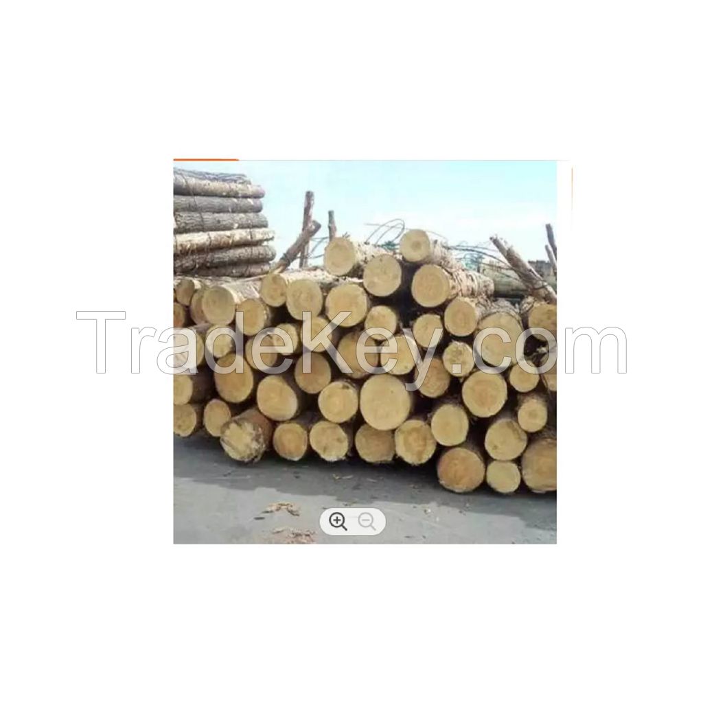130KW Energy Saving Industrial wood Logs of 6 ft length and durable ebony wood block for sale teak sawn timber teak lumber wood