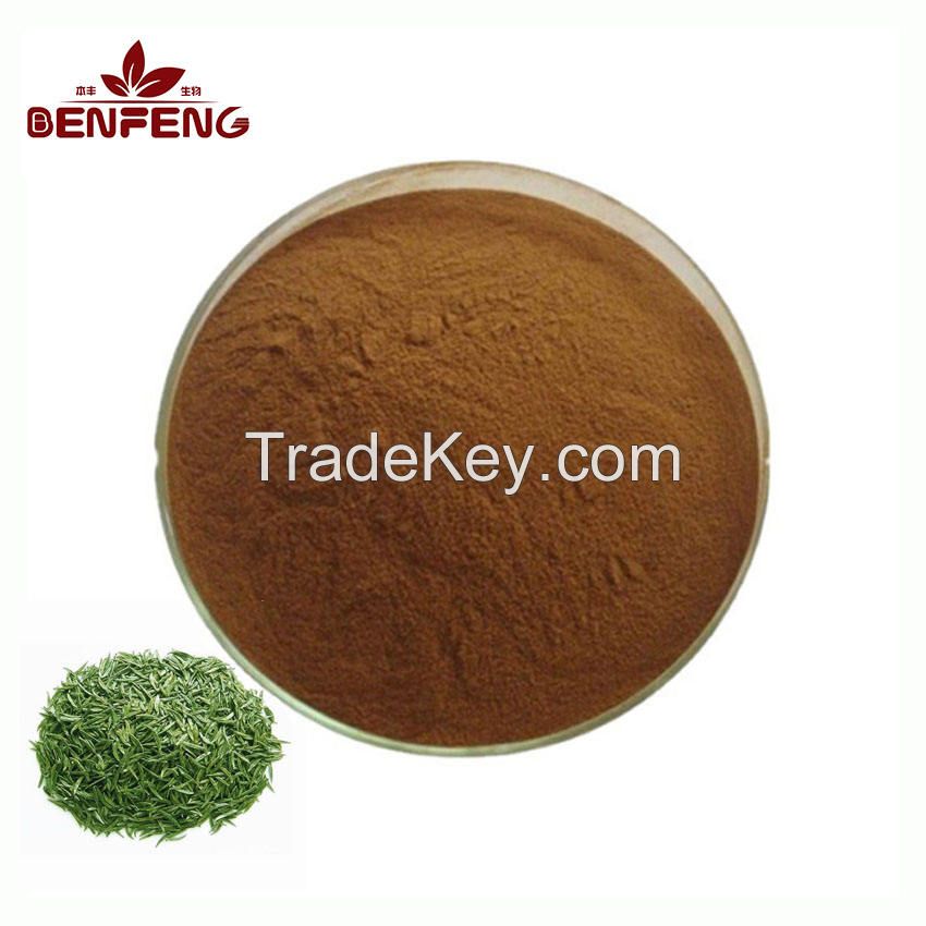 Pure Natural Food Grade Green Tea Leaf Extract High Quality 98% Green Tea Polyphenols