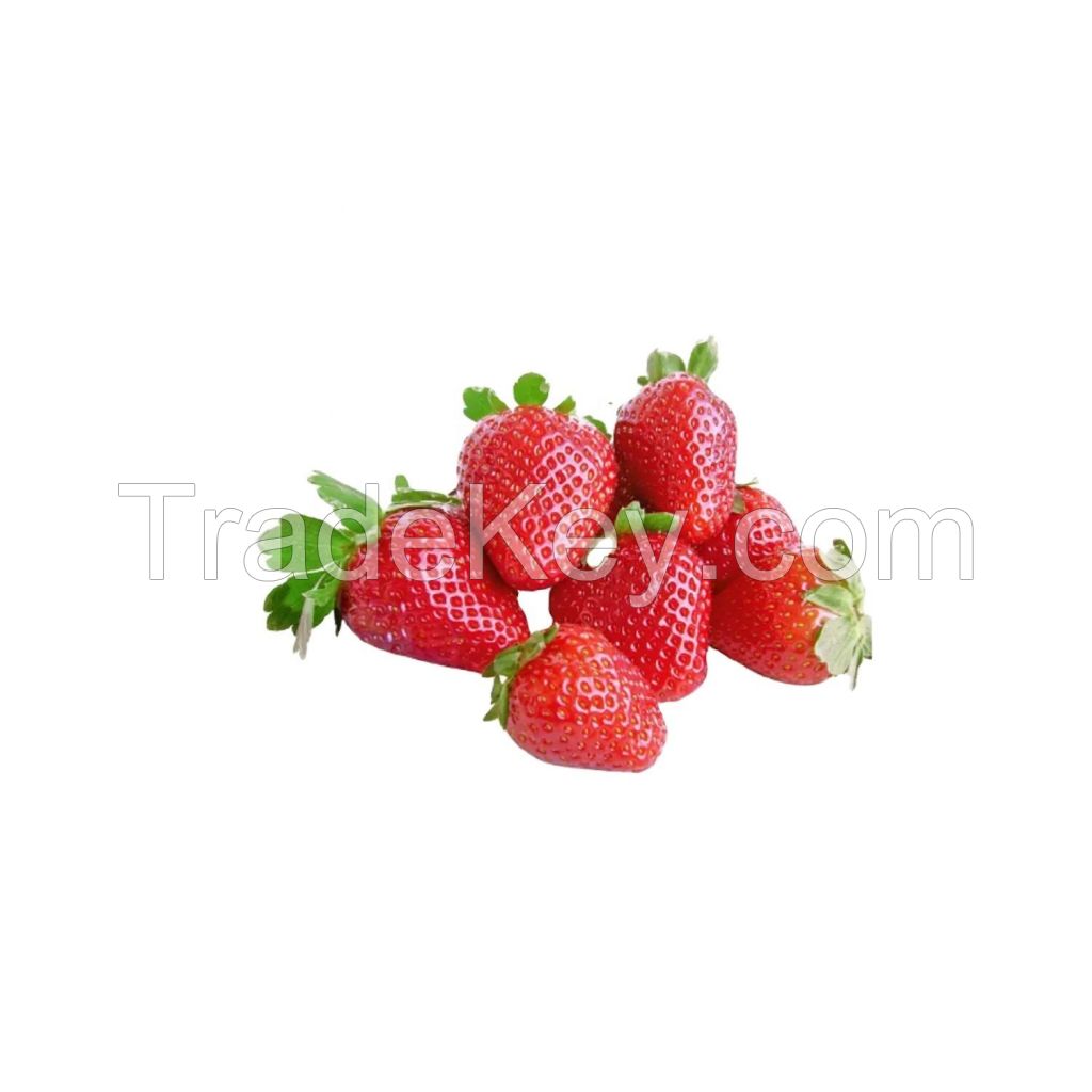 Fruit Fresh strawberry wholesale fresh seedless strawberries food grade 2.5kg pack 25tons 15days blueberries fresh berries