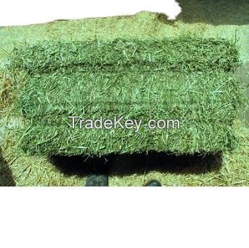 export quality alfafa hay bales pellet cubes for sale Our suggestionscattle feed additives animal feed additive gain weight