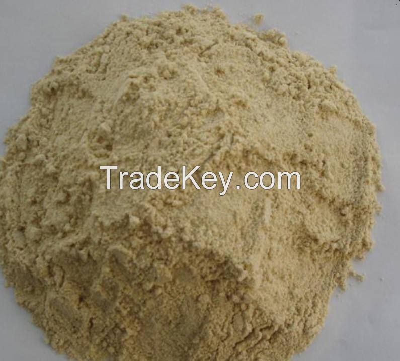 powder dried nut flour pure wheat gluten flour bulk konjac suppliers 10/25/50 Kg PP Bag pure wheat gluten flour gluten free
