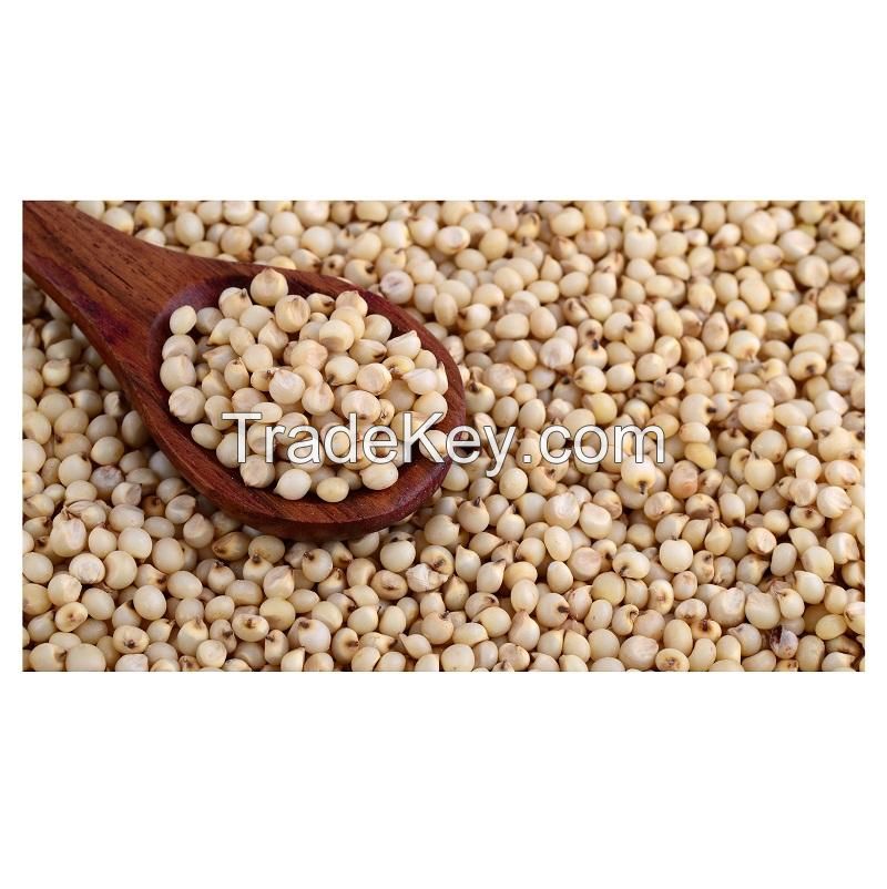 High Quality Organic Seeds White Quinoa Grains Health care Grains Available For Sale At Low Price