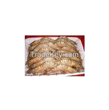 hoso sea white shrimp vannamei shrimp hoso good packing packaging weight shelf headless  for sale