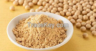100% Natural Pure Health Supplement Food Grade Sunflower Lecithin Powder