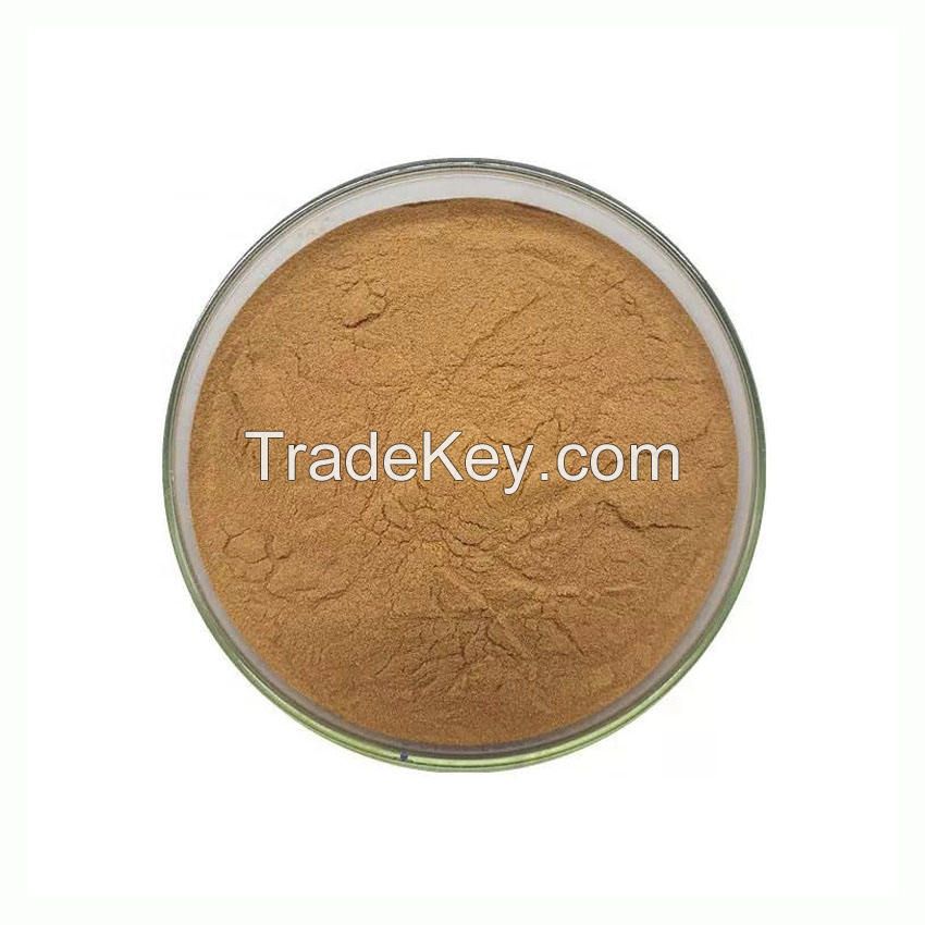 High Quality Pure Natural Fennel Seed Extract Fennel Extract Powder