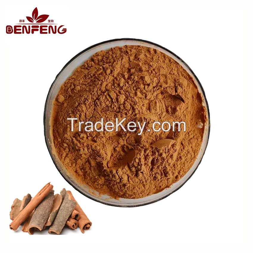 High Quality Cinnamon Bark Extract Powder Natural 10:1 Cinnamon Extract