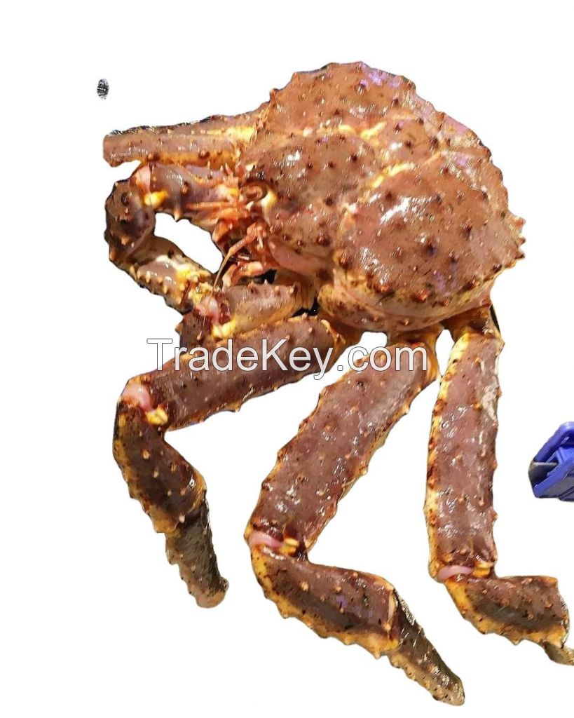 live canadian red king crabs frozen king meat whole foods meat tin crab bulk supplier canadian red king crabs