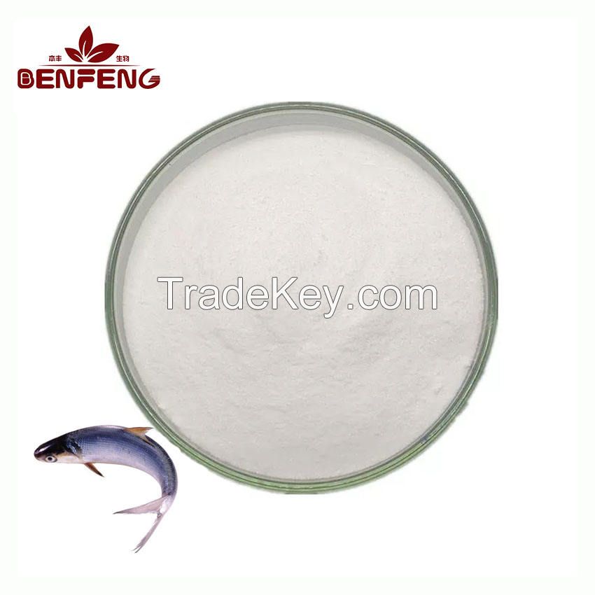 Hot Selling Pure Natural Fish Skin Extract Organic Hydroilzed Fish Collagen Peptide Powder