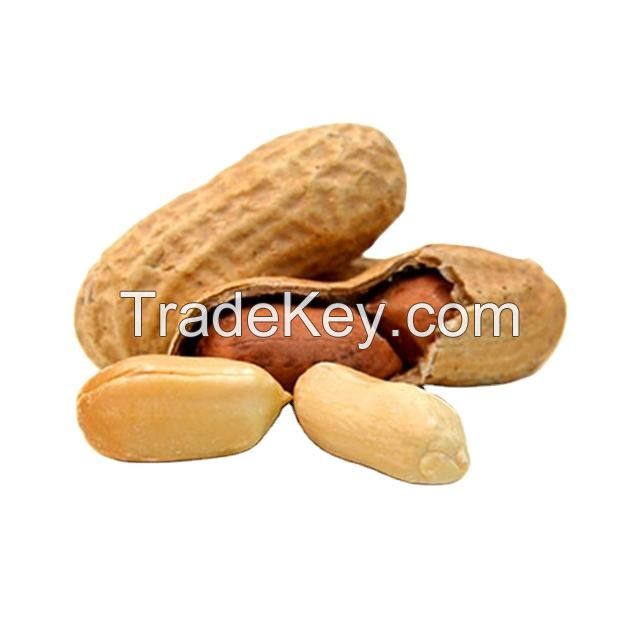 nuts snacks flour coated roasted peanuts organic no additives bulk raw groundnut peanuts for sale packing in bags
