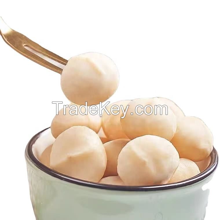 High Quality Macadamia Nuts with Shell macadamia brown 25kg 25 tons 15days raw organic macadamia nut