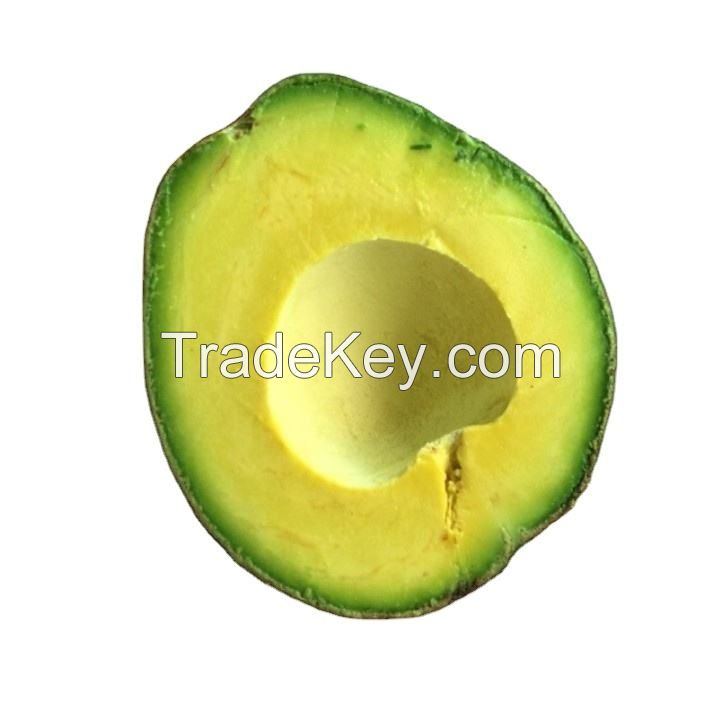 organic fresh avocados AND FUERTE Hass Avocados  hass and fuerte bulk suppliers best quality hass Avocados