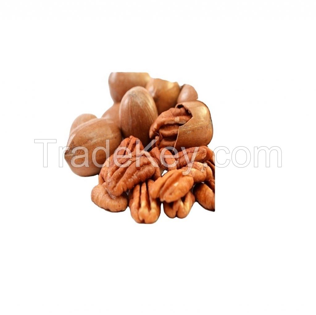 first quality roasted salted  pecan nuts raw High quality best-selling raw pecan nuts With Shell and shelled