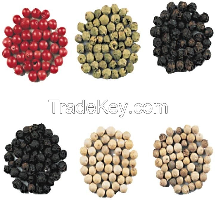 black pepper seeds for sale black pepper 550gl/ 500gl bulk black pepper dried spice from south Africa with cheap price for sale