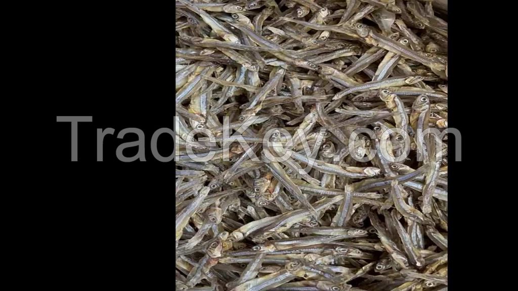 dried anchovy fish malaysia all natural no sugar sauce anchovies  wholesales for food dry dried anchovy fish